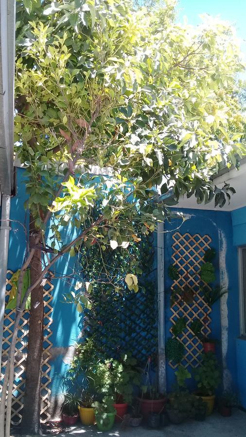 Hostal Casa Azul Talca  Zewnętrze zdjęcie